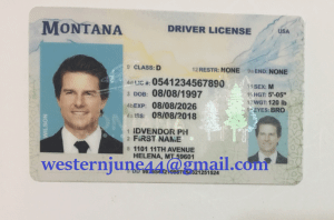 Montana Fake ID