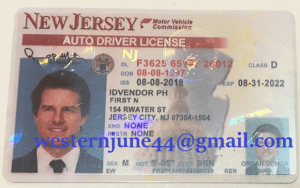 Nevada Fake ID